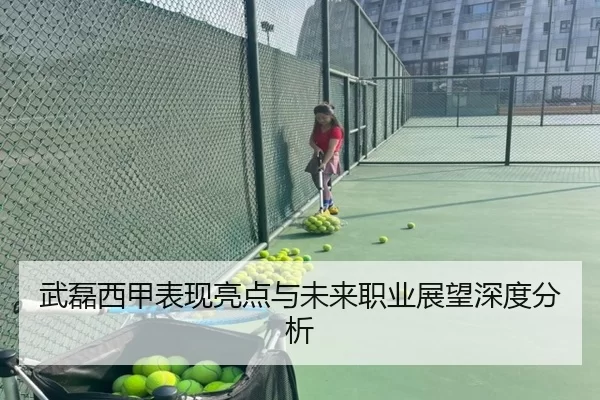武磊西甲表现亮点与未来职业展望深度分析